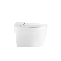 Smart Toilet Bide, Foot Sensor Open, Cleaning Nozzle, Heated Seat, Power Outage Flushing