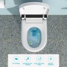 Smart Bidet Toilet, Elongated Heated seat, Foot Sensor Flush, Warm Water Wash, Dryer