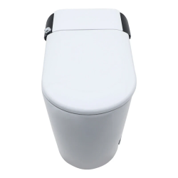 Smart Toilet with Bidet, Elongated Heated seat, Foot Sensor Flush, Warm Water Wash, Dryer