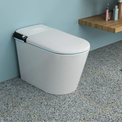 Smart Toilet with Bidet, Elongated Heated seat, Foot Sensor Flush, Warm Water Wash, Dryer