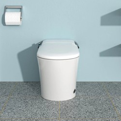 Smart Toilet with Bidet, Elongated Heated seat, Foot Sensor Flush, Warm Water Wash, Dryer