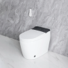 Smart Toilet, Bidet Toilet with Instant Warm Water, Elongated Toilet Heated Seat, Dryer