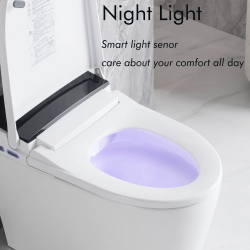 Smart Toilet, Bidet Toilet with Instant Warm Water, Elongated Toilet Heated Seat, Dryer