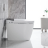 Smart Toilet, Bidet Toilet with Instant Warm Water, Elongated Toilet Heated Seat, Dryer