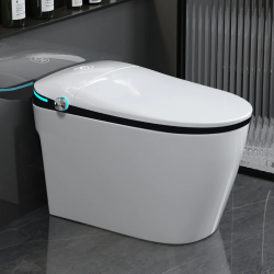 Smart Toilet, Heated Bidet Toilet with Warm Water Sprayer & Dryer, Foot Sensor