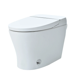 Smart Bidet Toilet, Tankless Elongated Electric Toilet with Smart Bidet, with Seat Heating, Remote Control